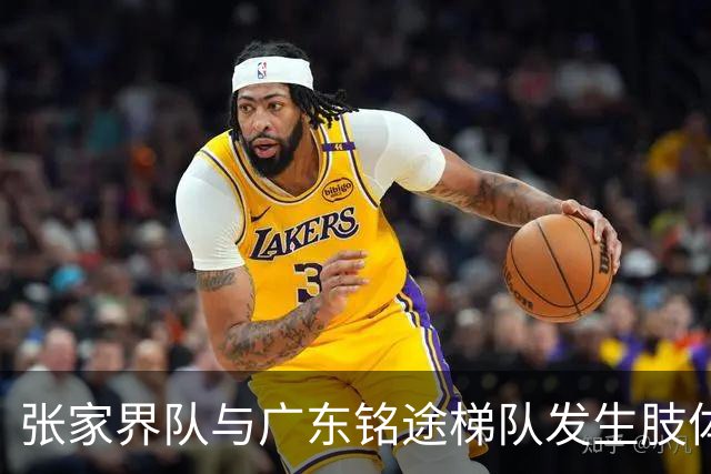 张家界队与广东铭途梯队发生肢体冲突，湖南省足协：暂停涉事人员参加省内一切足球活动